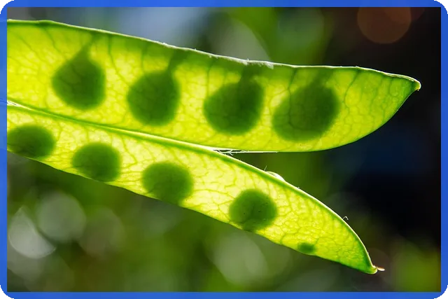 대환대출뜻 완벽 이해하기 이자 절감과 장점은