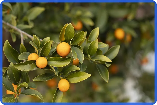 아파트 담보대출 비교 사이트로 최저금리 찾기