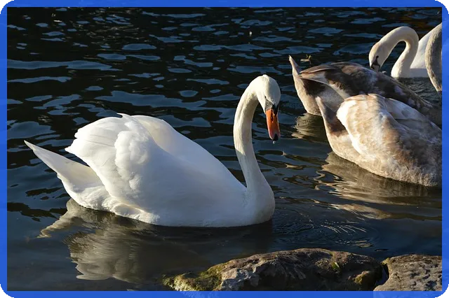 정부 지원 개인사업자 대환대출으로 금융 부담 해결하기