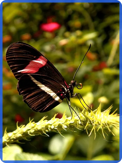 정읍경매 상동토지의 투자 기회는?