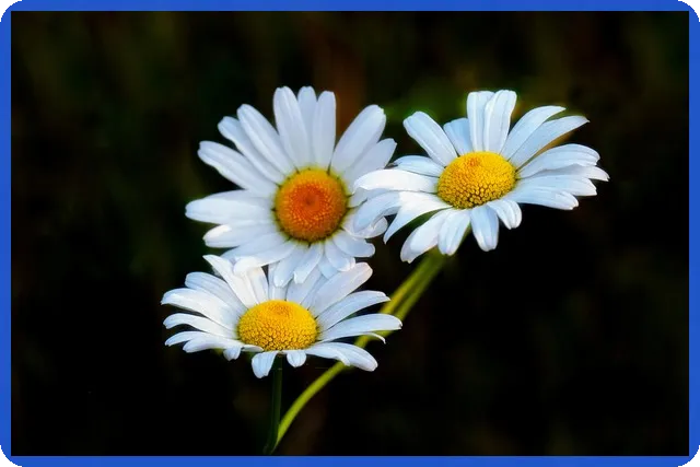 정읍경매 상동토지의 투자 기회는?