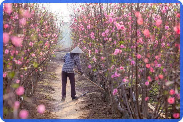 허그 전세대출 조건과 신청법, 꼭 알아야 할 점은?