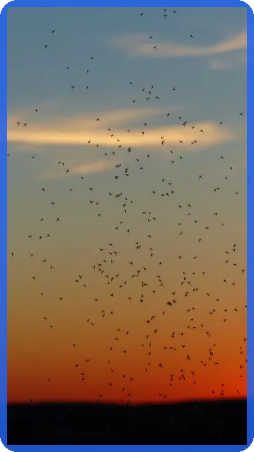 복리정기예금 최적금리 비교는?