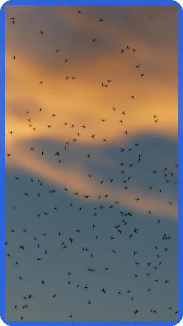 예금금리높은은행, 당신의 자산을 지키는 방법은?