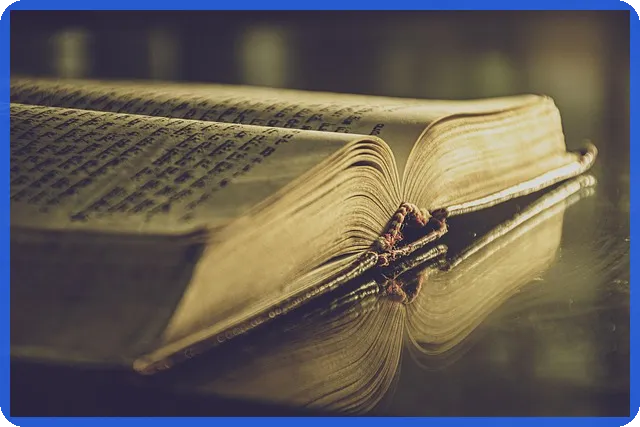 임산부대출로 즐기는 한라도서관의 매력