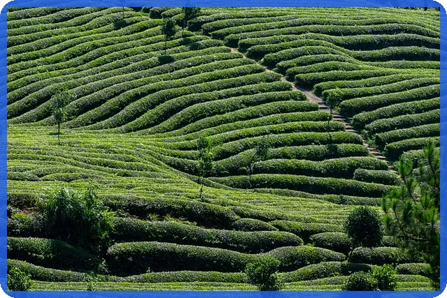 전당사 강랜전당사 대출 조건은?