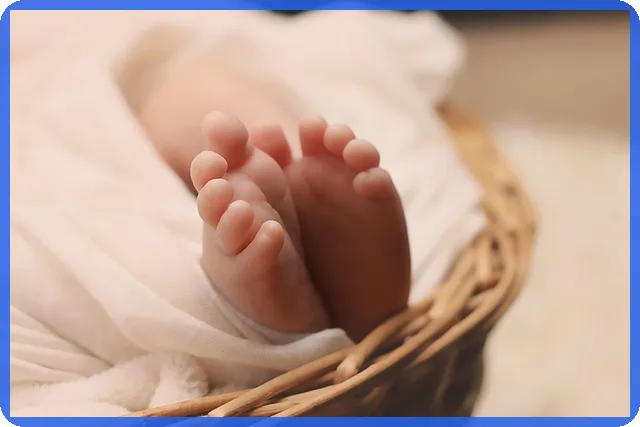 경산대출로 실현하는 월변의 경제적 변화 비법