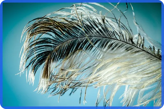 교보생명신용대출 전화 확인 필수 여부 궁금증 해소