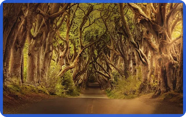 교보생명신용대출 전화 확인 필수 여부 궁금증 해소