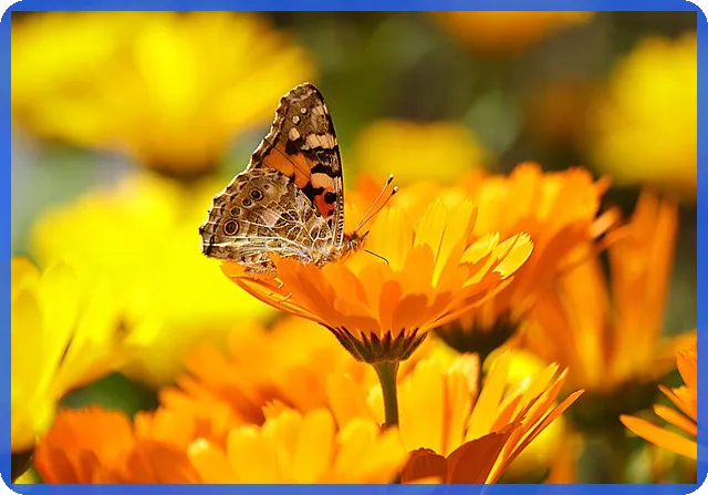 국제금시세 2025, 손실 줄이는 계산법은