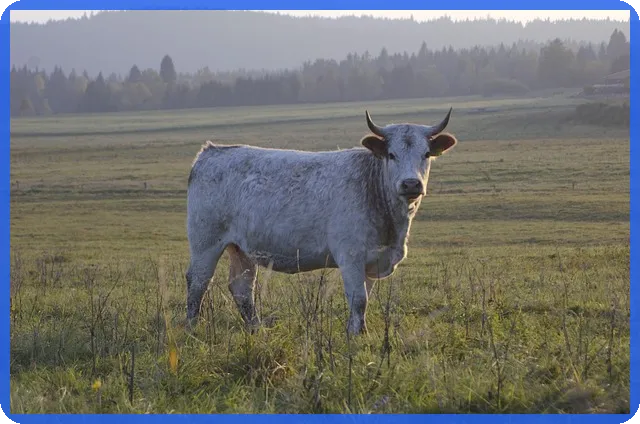 근로소득세계산 쉽게 하는 방법과 혜택 알아보기