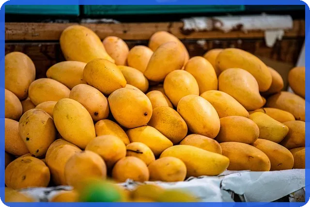 무담보사채 투자 안전성과 위험 모두 분석하기