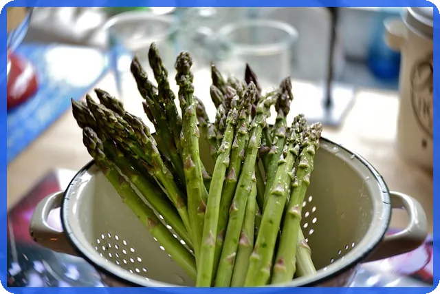 물류시장 급변 변화 예측과 전략 방안