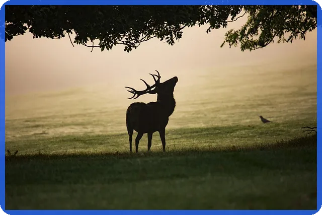 물류시장 급변 변화 예측과 전략 방안