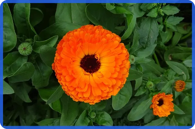 신규아파트잔금대출 꼭 알아야 할 핵심 가이드