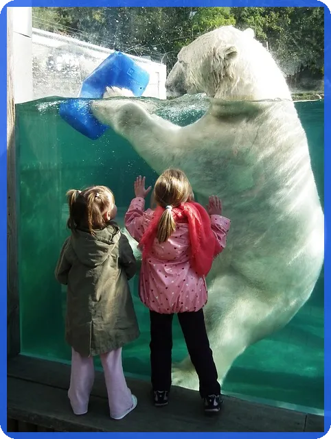 신용회복중중고차 장기렌트로 부담없이 차량 확보하는 방법