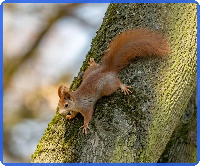 신용회복중중고차 장기렌트로 부담없이 차량 확보하는 방법