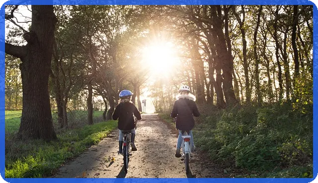 아시아증시 강세의 핵심 원인과 글로벌 영향 분석