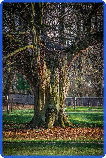 장기연체대출 채무조정으로 1억까지 탕감 가능할까