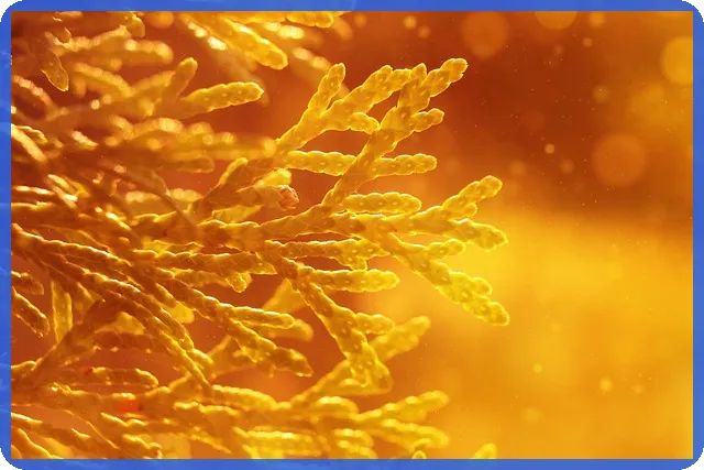 주식투자방법으로 위험 최소화하는 전략은 무엇일까