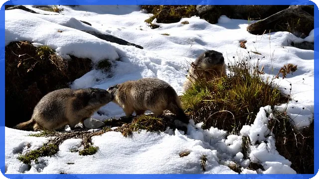 증권계좌수수료 절약하는 방법과 신한투자증권 이벤트