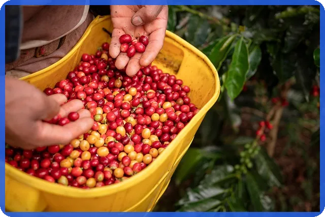 증권계좌수수료 절약하는 방법과 신한투자증권 이벤트