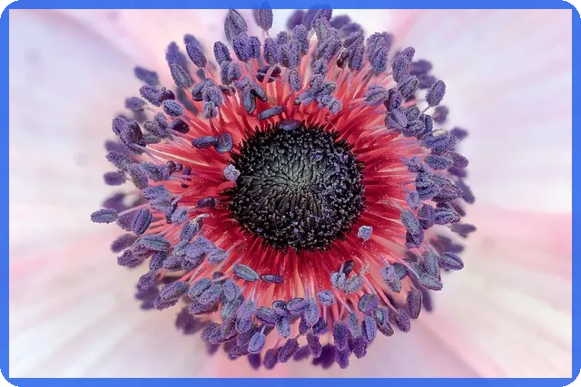 채권압류및추심명령 실전 절차법과 효과적 대응법