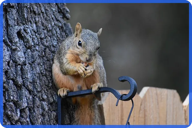 코덱스레버리지로 투자 효율 높이는 법