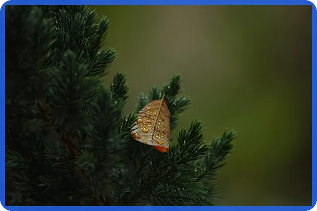 코덱스레버리지로 투자 효율 높이는 법