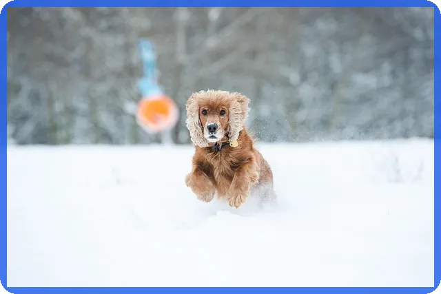 페이코비상금대출 신용개선과 한도확대 비법