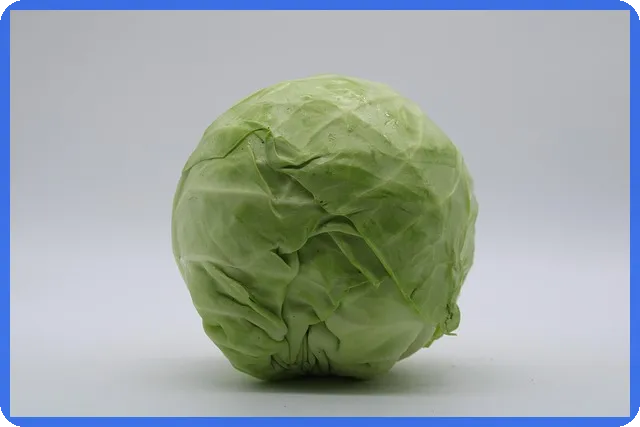 K뱅크주택담보대출 금리와 조건 총정리 궁금증 해소할 방법은